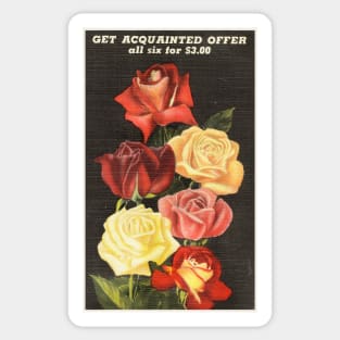 Rose Seed Catalogue Sticker